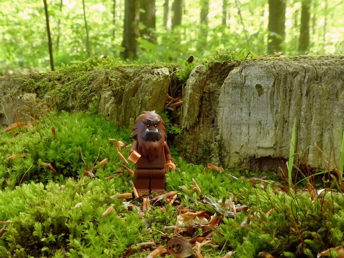 Brick Pic of the Day: Beast in the woods