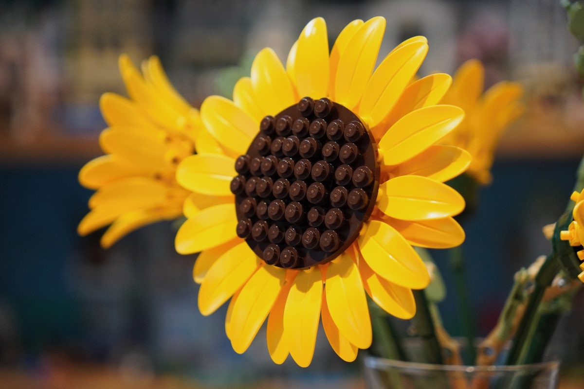 LEGO Botanicals 11502 Sunflower Bouquet review 4 1200x800