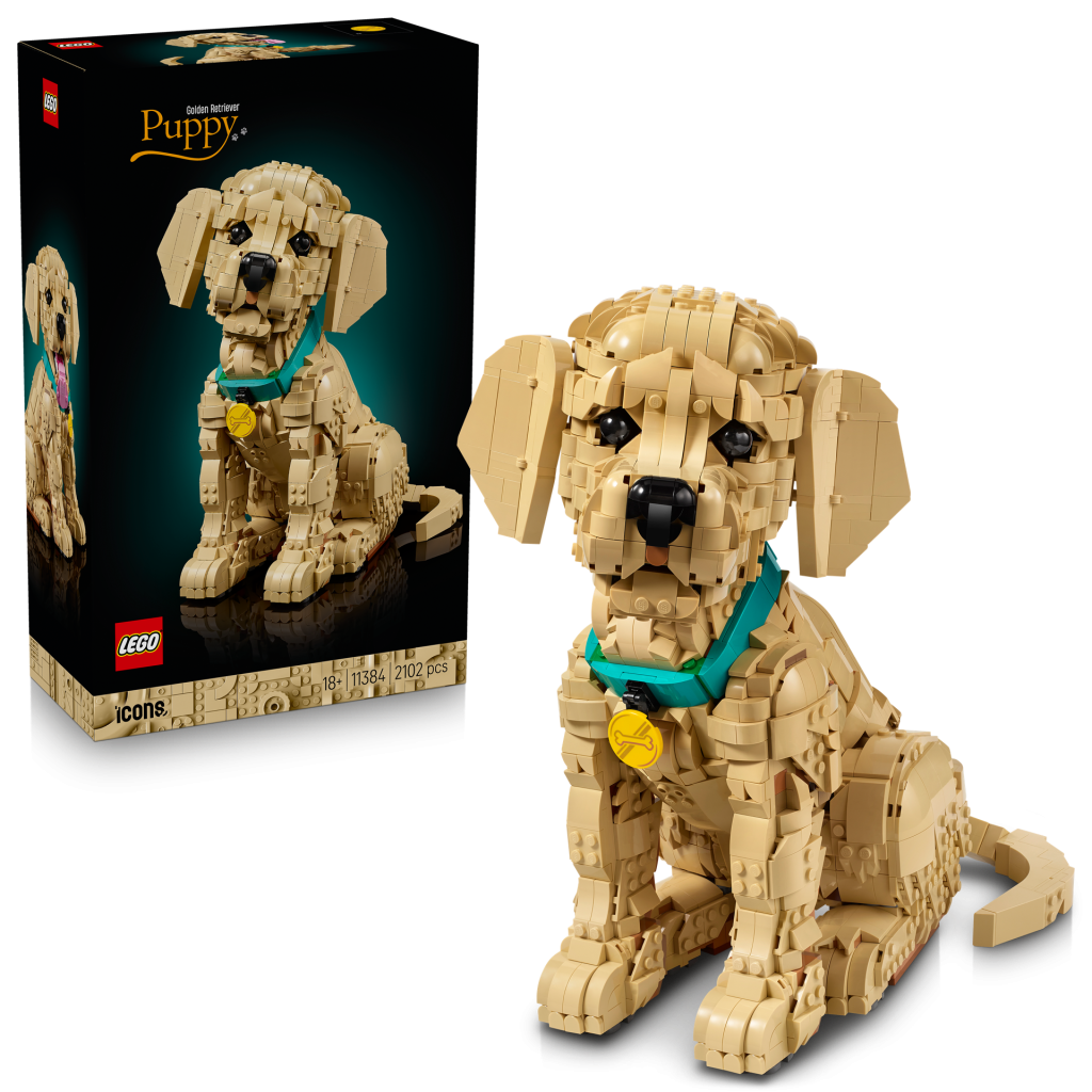 LEGO Icons 11384 Golden Retriever Puppy 4 1024x1024