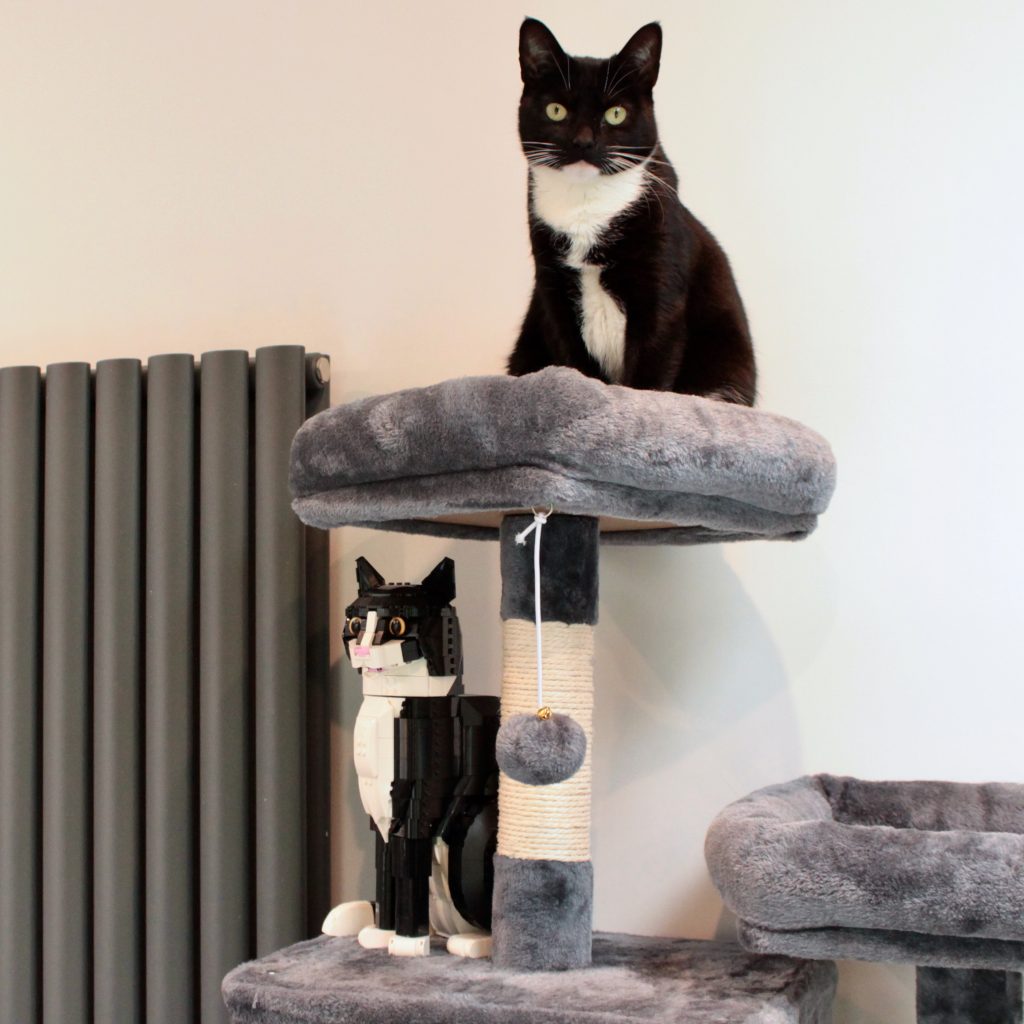 LEGO Ideas 21349 Tuxedo Cat review 26 1024x1024